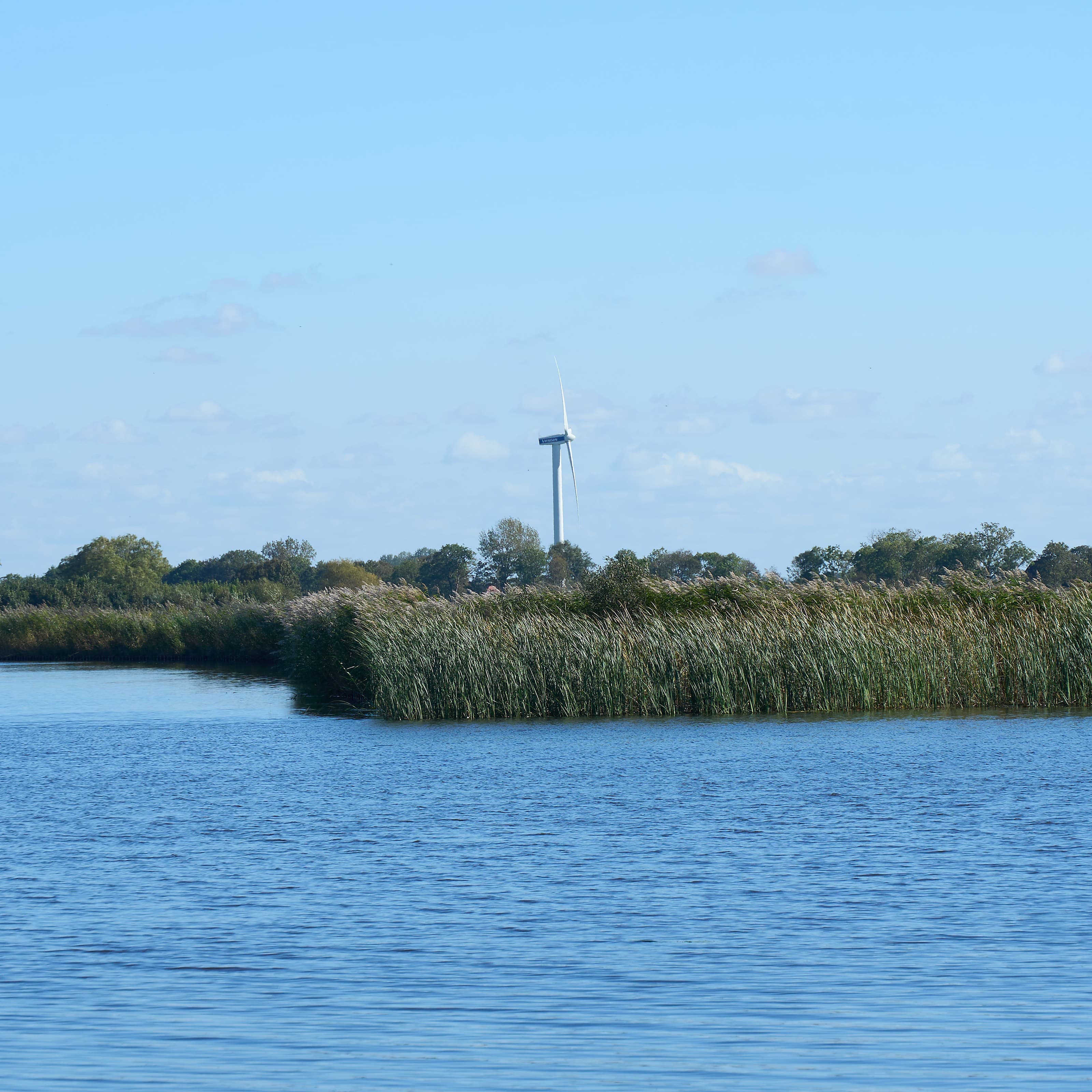 Mr. Supervisor Windmill